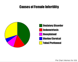 Truly Md A Piece Of The Pie What Causes Infertility