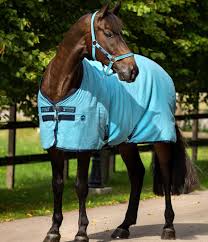 horsewear le sheet with moisture