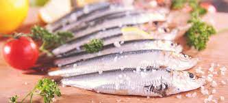 sardines nutrition benefits recipes