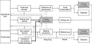 Simplified Chart Showing Various Biomass Flows In Society