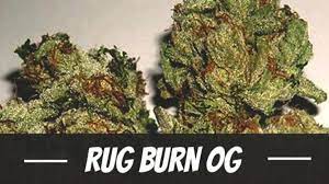 rug burn og weed strain review and