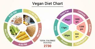 Diet Chart For Vegan Patient Vegan Diet Chart Lybrate