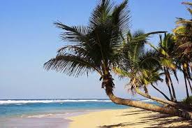 Guía de turismo en Punta Cana