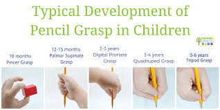 Typical Pencil Grasp Development For Kids Child