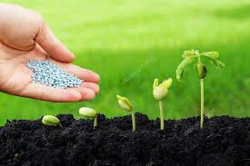hand giving chemical fertilizer to