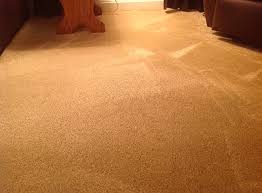 carpet cleaning b n carpet care
