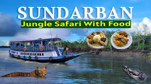 sundarban tour 2024 sundarban jungle