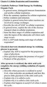 Solved Chaptec Cellulur Respiration