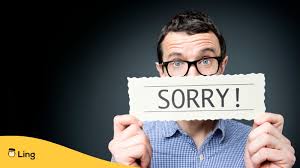 apologize and say sorry in afrikaans