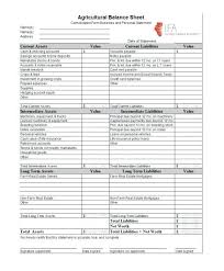 Medium Size Of Balance Sheets Samples Sheet Example Excel Personal
