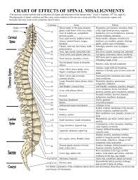 Chart Of Effects Of Spinal Misalignments