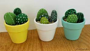 How To Make Cactus Rocks 6 Easy Steps