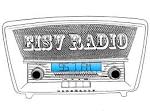Resultado de imagen de EISV Radio