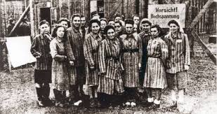 Van wikipedia, de gratis encyclopedie. Ravensbruck The All Female Concentration Camp In 23 Haunting Photos