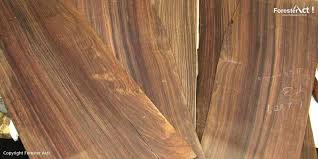 Kayu sonokeling merupakan jenis kayu yang memiliki tingkat kekerasan dan keawetan menengah, meskipun demikian, kayu sonokeling ini cukup banyak dimanfaatkan karena warna dari kayu ini yang unik, yaitu hitam. Pohon Sonokeling Dalbergia Latifolia Taksonomi Kayu Dan Budidaya
