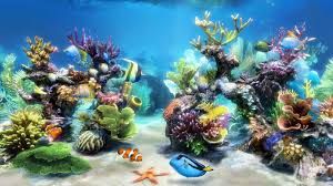 submerged wonders in a 3d fish tank