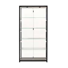 Tall Glass Display Case With Two Doors