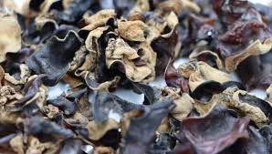 Cloud ear fungus (auricularia polytricha, syn. Salmonella Finding Prompts Recall Of Dried Imported Edible Fungus Food Safety News