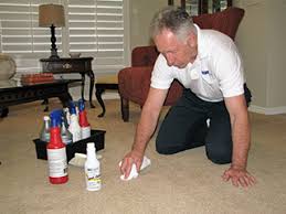 expert carpet care tips by stan from
