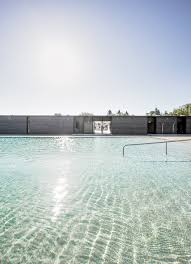 Desafio da piscina | challenge of the swimming pool #desafiosrukaboll. Piscina Natural Borden Park Gh3 Plataforma Arquitectura