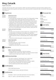 Executive Resume Sample And Complete Guide 20 Examples