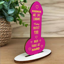 funny rude friendship plaque novelty
