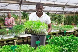Hiring Ugandan Gardeners In Bahrain
