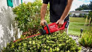 7 Best Hedge Trimmers Of 2023 Reviewed