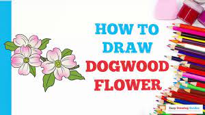 how to draw dogwood flowers in a few