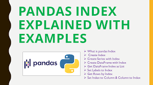 pandas index explained with exles