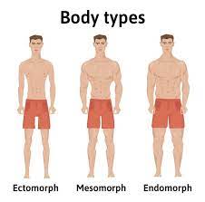 ectomorph workout is it really all
