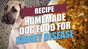 homemade dog food for kidney disease
