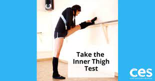inner thigh strength test core