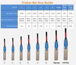 How To Choose A Cricket Bat Making Different