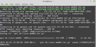 how to install go on linux mint 20
