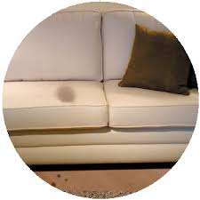 concord carpet cleaners upholstery