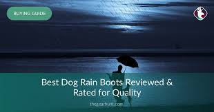 10 Best Dog Rain Boots Reviewed In 2019 Thegearhunt