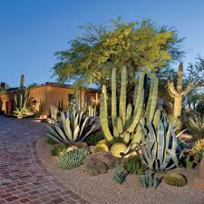 Desert Style Landscaping Here Are 8