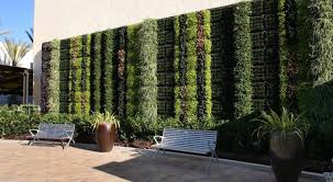 Indoor Living Walls What To Expect