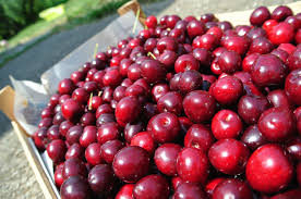 Image result for crepe cherries