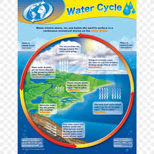 Water Cycle Chart Teacher Resource Png 900x900px Water