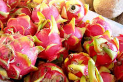 What part of Mexico does dragon fruit grow in?