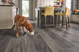 hardwood flooring for pets caring for