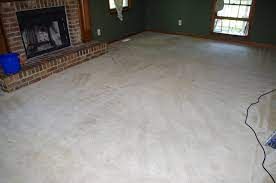 carpet cleaning with oxiclean notes