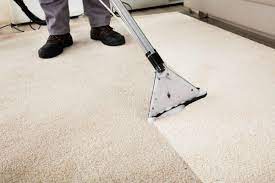 professional carpet cleaners local