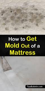 get mold out of a mattress