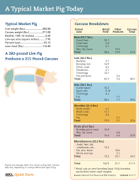 Typical Market Pig Today Pork Checkoff