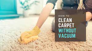 how to clean carpet without a vacuum 7