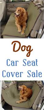 Dog Car Seat Cover The Frugal