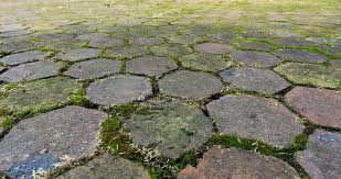 Clean pavers are essential to the sealing process. Properly Clean And Seal Pavers